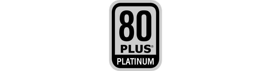 1000-1600W 80 Plus Platinum